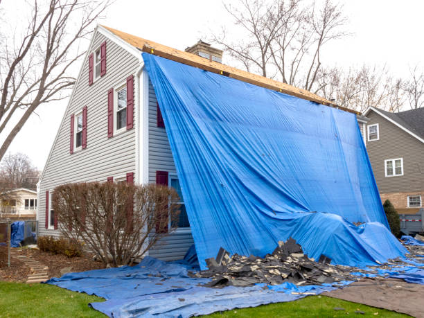 Historical Building Siding Restoration in Gordo, AL